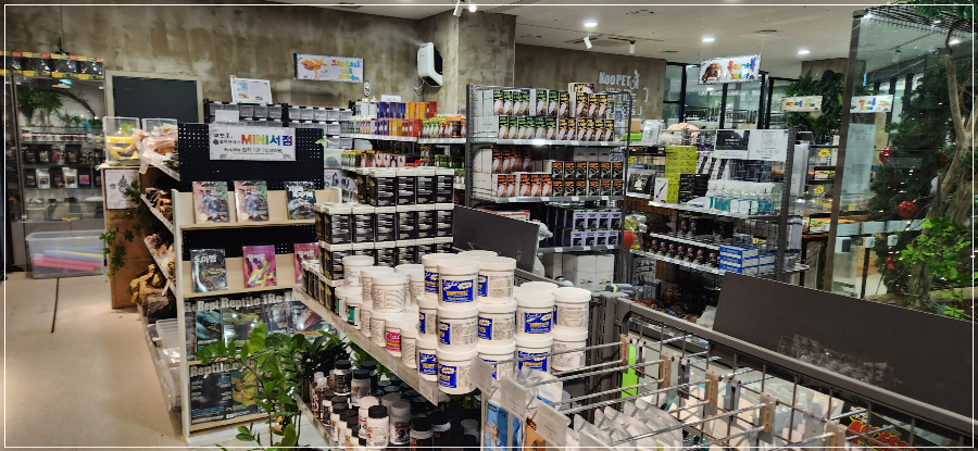 롯데시네마-판교-주차-가볼만한-곳