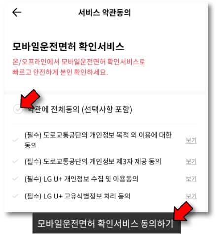 서비스-약관-전체-동의-진행