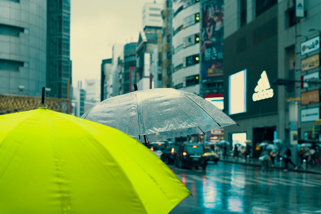 Yellow Umbrella Fund