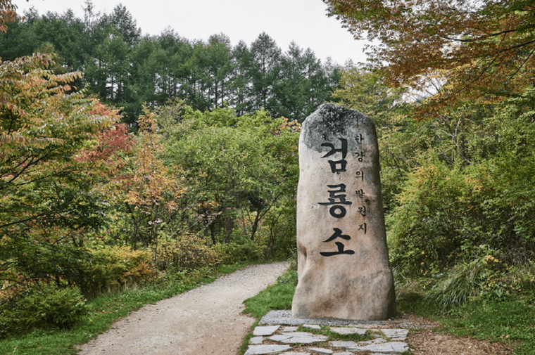 태백 가볼만한 곳