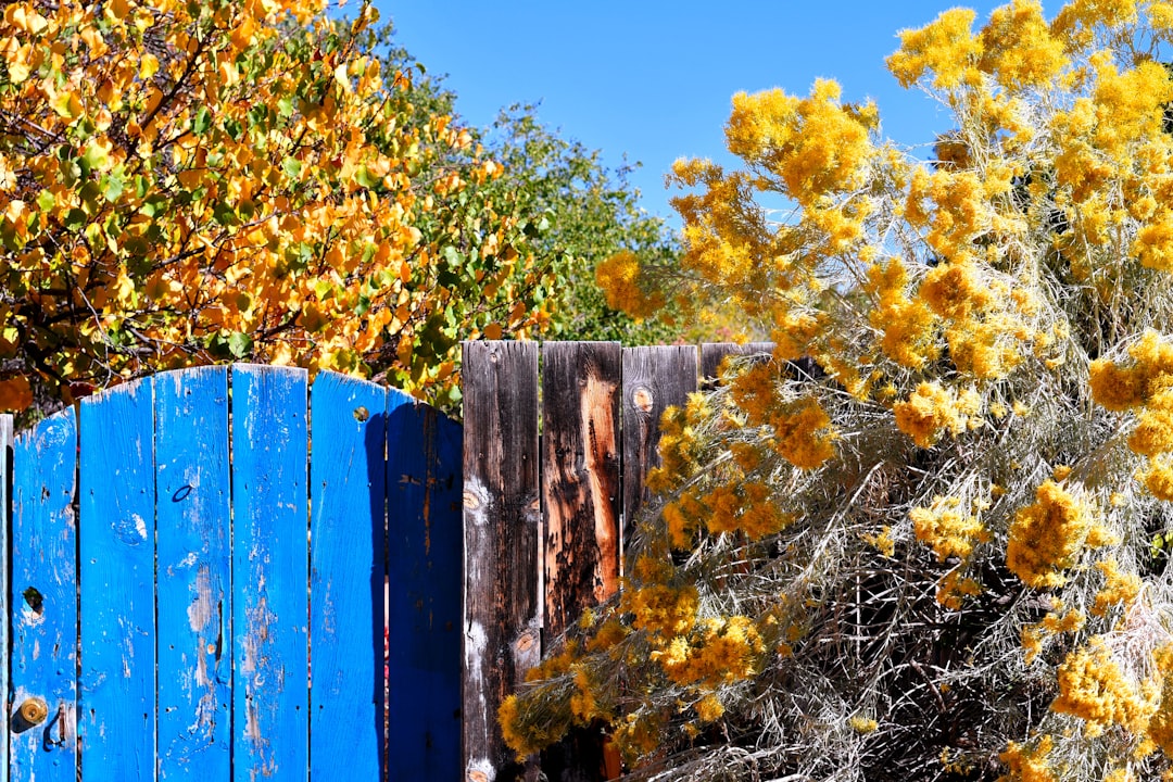 Santa Fe