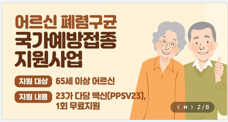 2023년 어르신 폐렴구균 무료 예방접종 안내&#44; 접종대상&#44; 이상반응&#44; 접종기간&#44; 유의사항