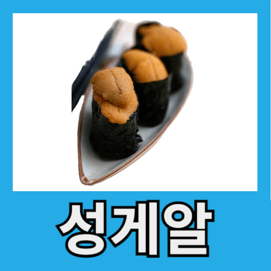 성게알 효능 성게 종류 부작용 성게알 중금속