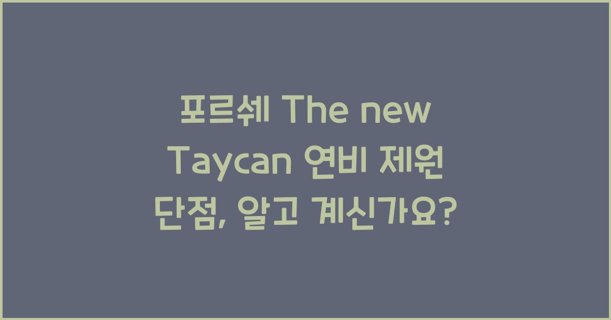 포르쉐 The new Taycan 연비 제원 단점