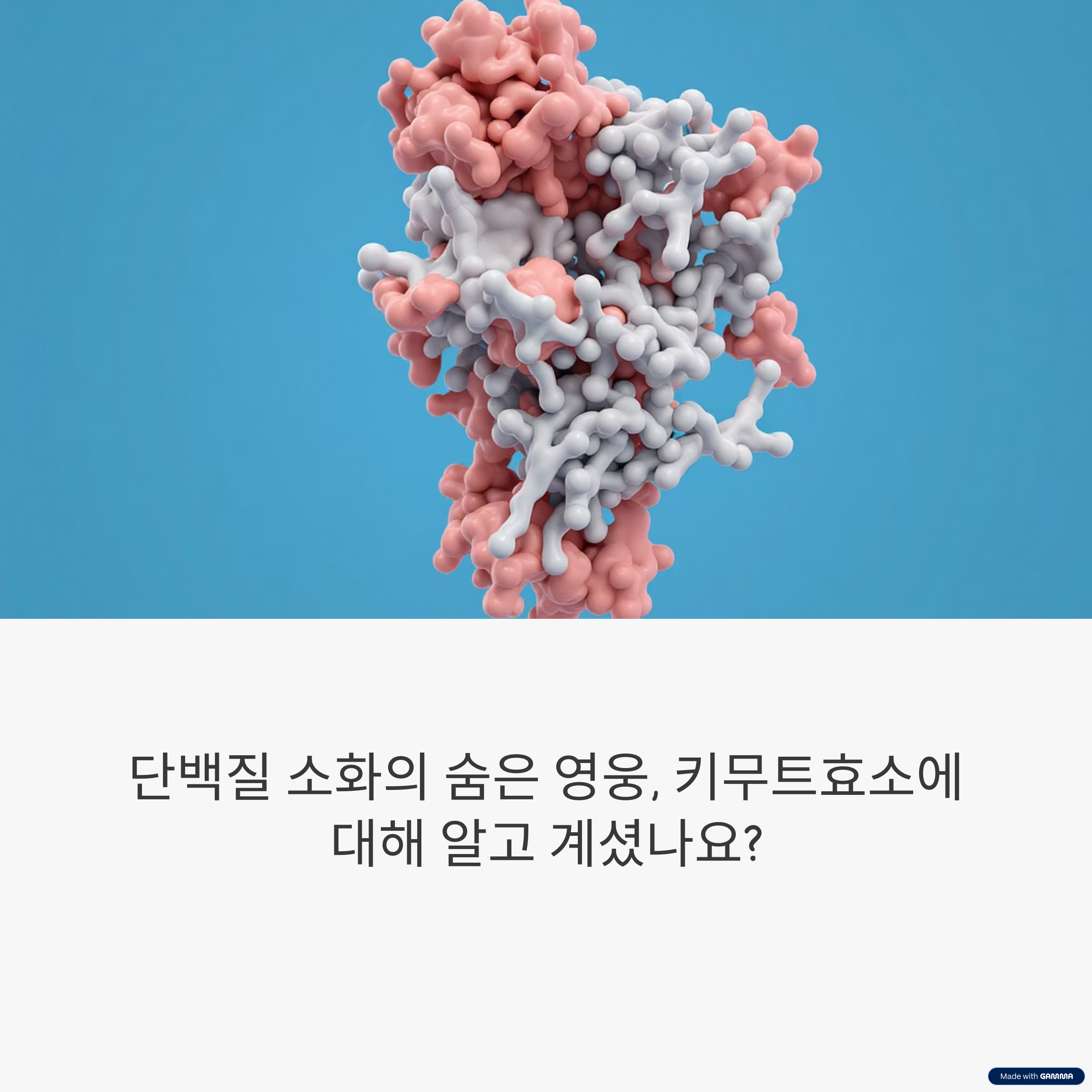키무트효소란 무엇인가? 작용 원리와 생물학적 의미