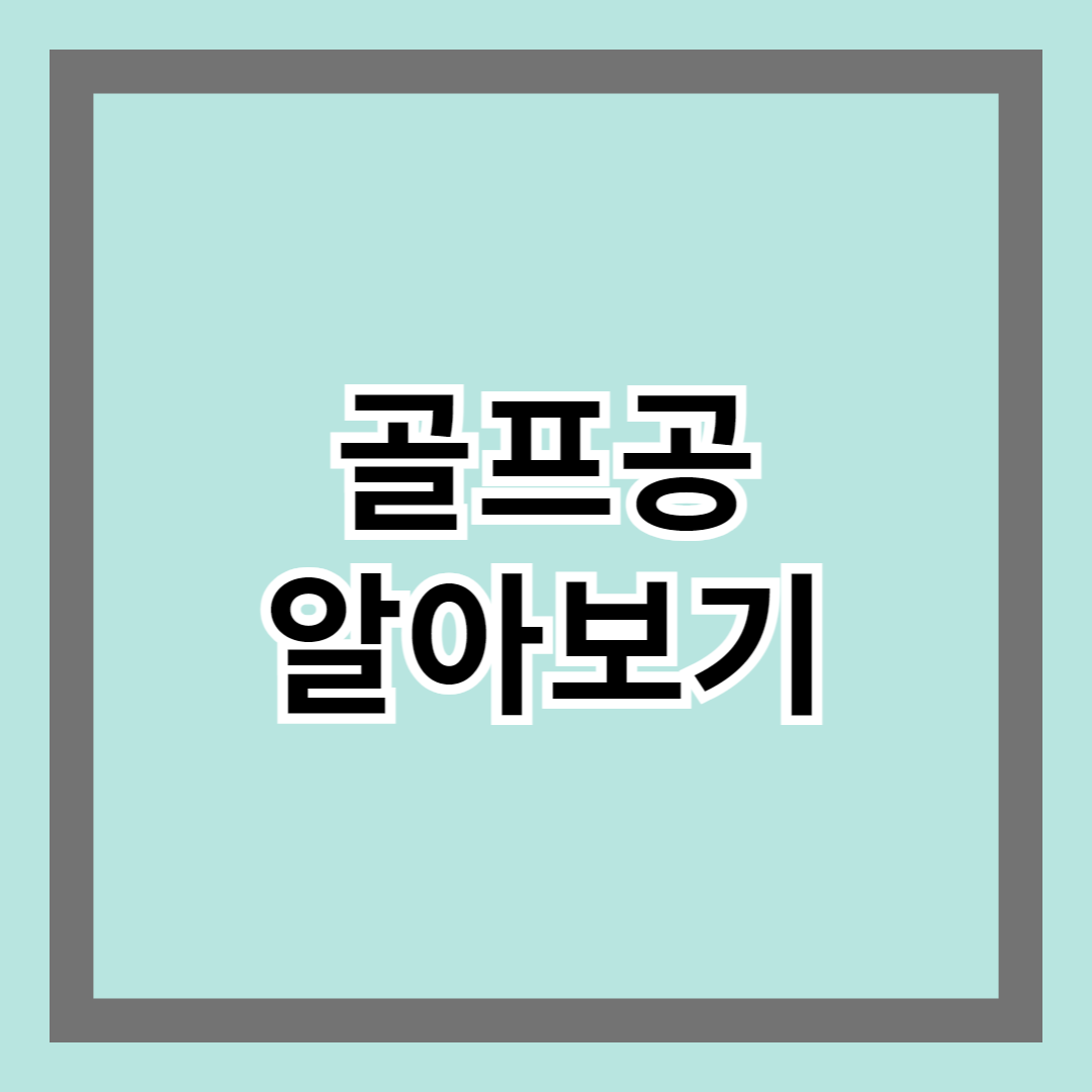 골프공, 최적의 퍼포먼스를 위한 필수 선택