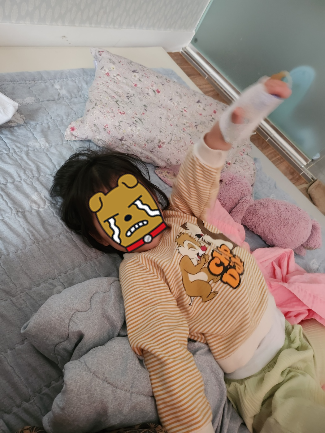 아이장염 캄필로박터균