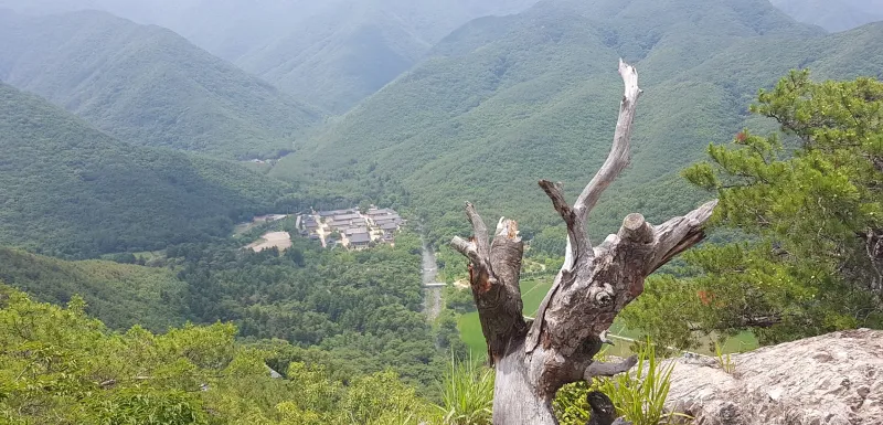 청도 복호산 운문사