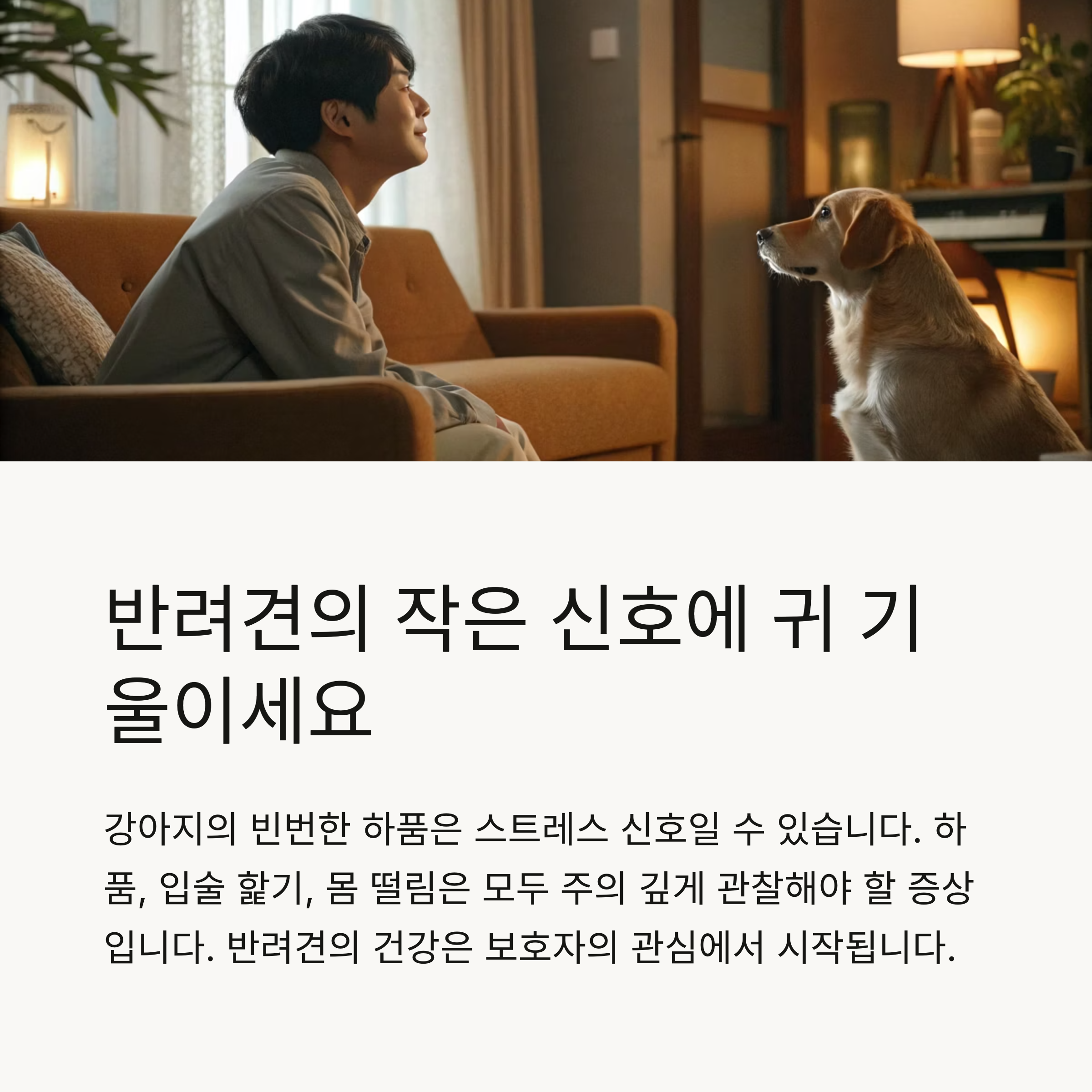 반려견의 작은 신호에 귀 기울이세요