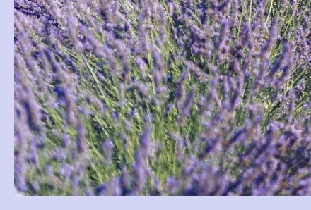 6월 국내 여행지 추천