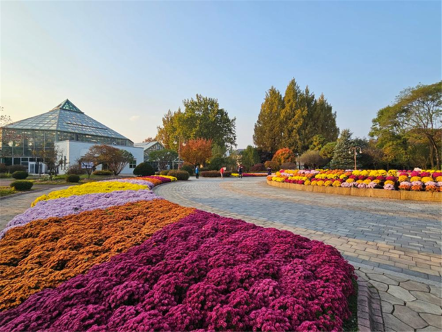 국화 1만3천본, 화목원의 가을