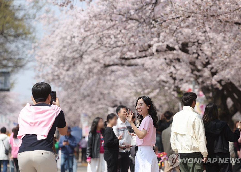 서울 윤중로 벚꽃축제 사진을 찍어주는 연인