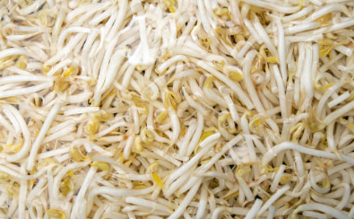 숙주의 항암 효과