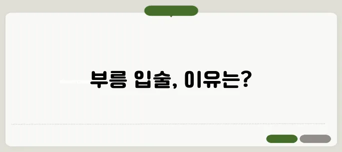 입술이 부르트는 이유 면역력 저하부터 영양 부족까지