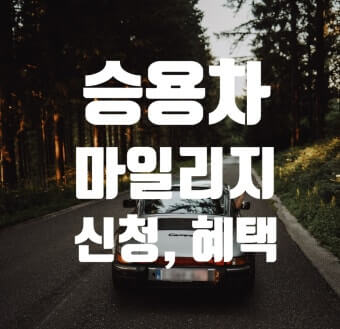 서울시 승용차 마일리지