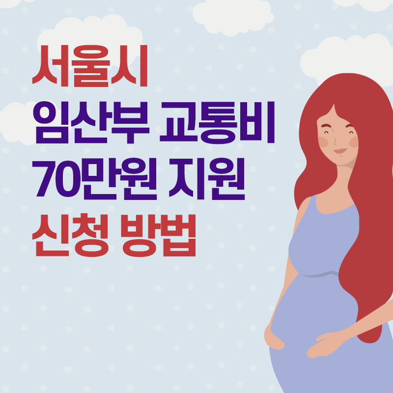 서울 임산부 교통비 지원