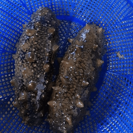 가을철 제철음식 추천