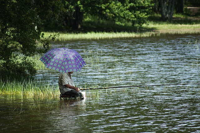 붕어 낚시 미끼 추천