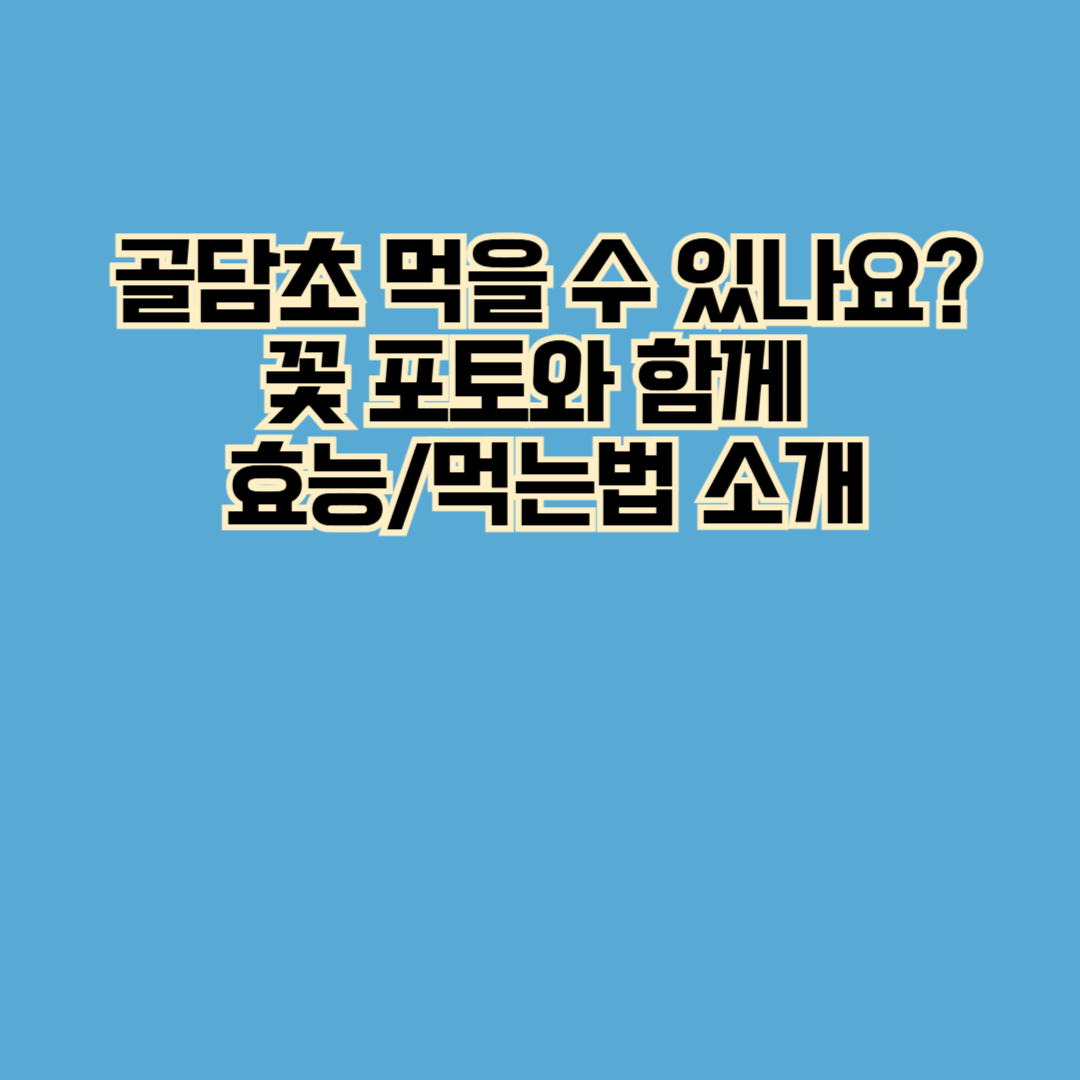 골담초 먹을 수 있나요? 꽃 포토와 함께 효능·먹는법 소개