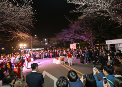 렛츠런파크 야경 벚꽃 축제