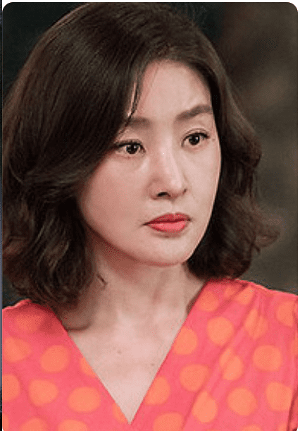 범죄도시2 넷플릭스