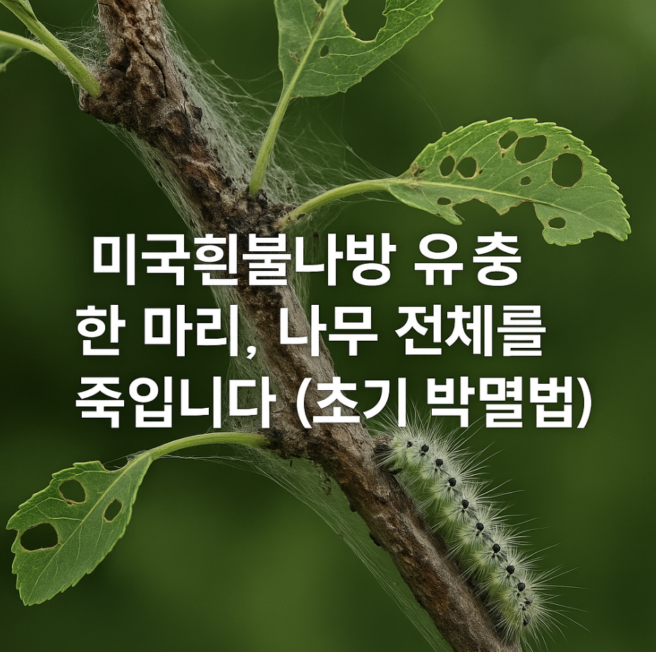 미국흰불나방 유충 한 마리, 나무 전체를 죽입니다 (초기 박멸법)