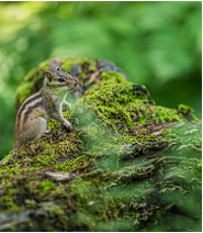 화담숲 프로그램 예약