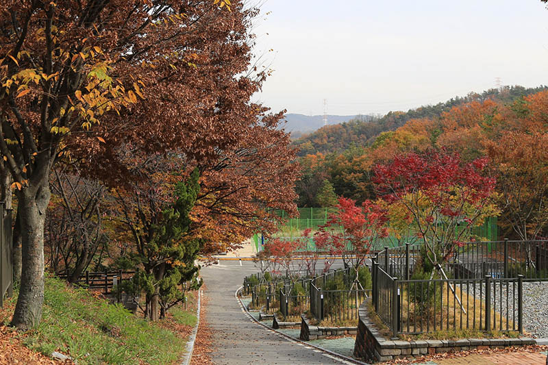 아산 영인산자연휴양림 숲속야영장 소개