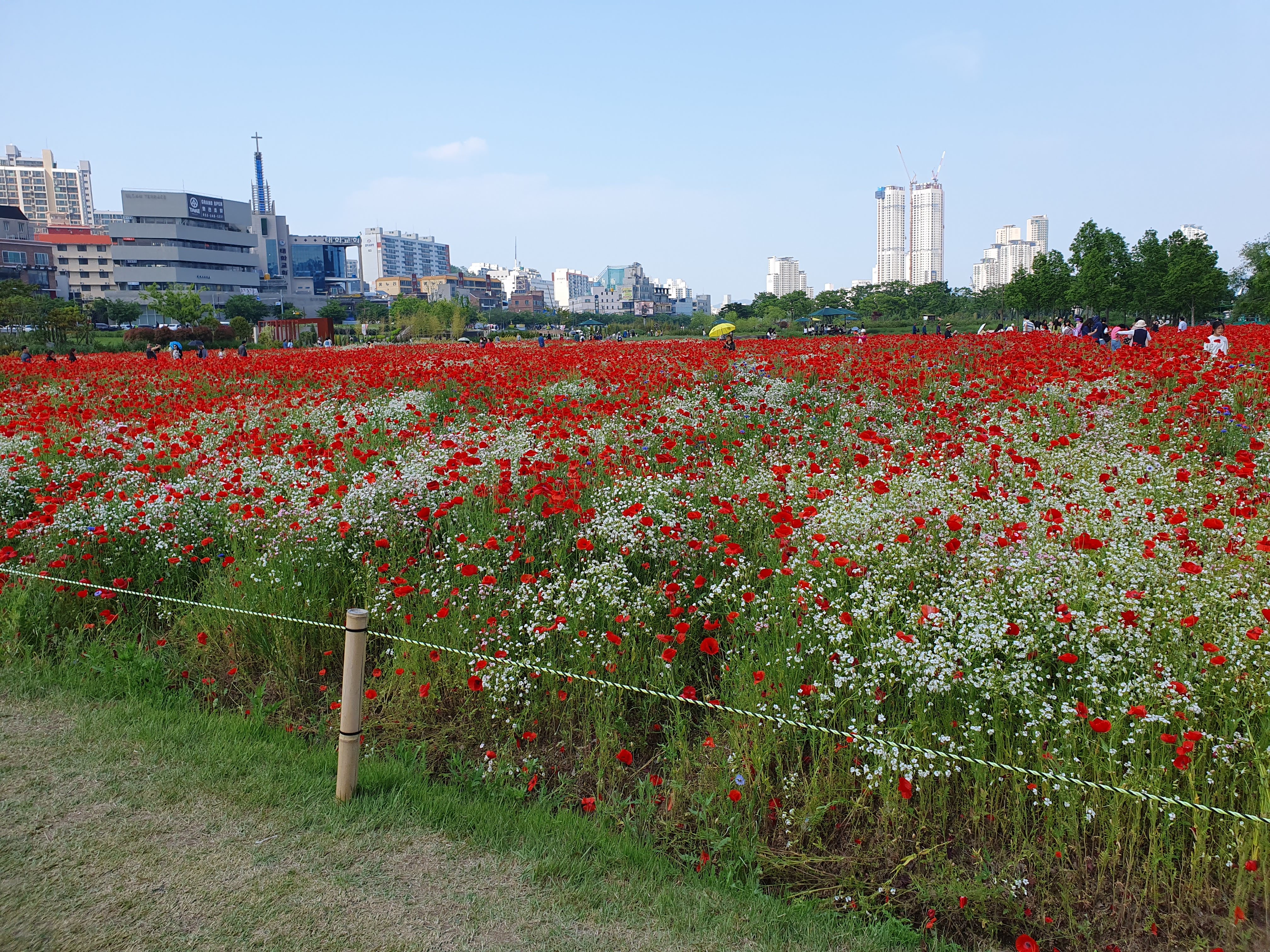 태화강 국가정원 특징