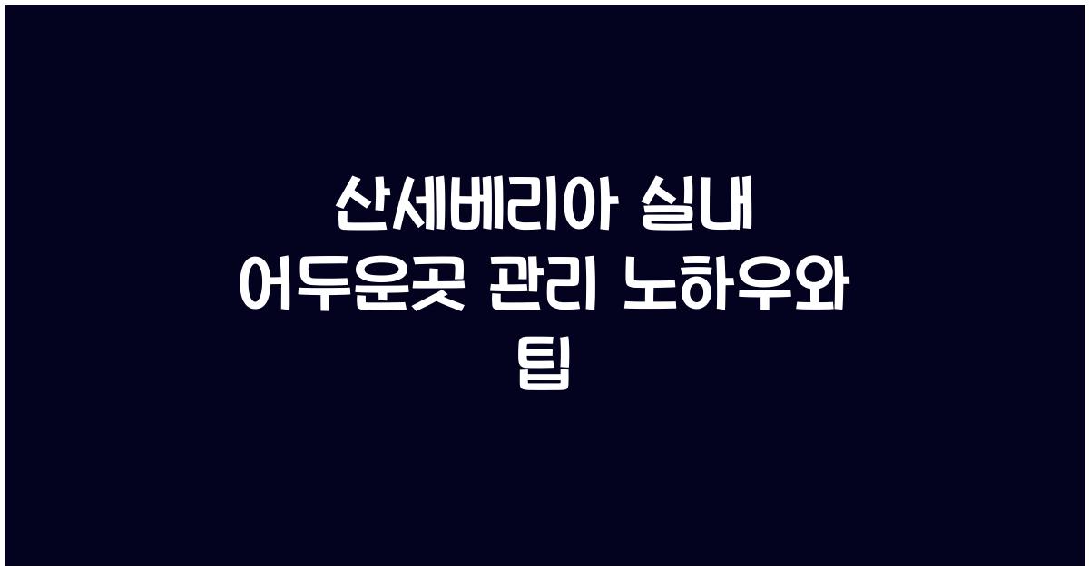 산세베리아 실내 어두운곳 관리
