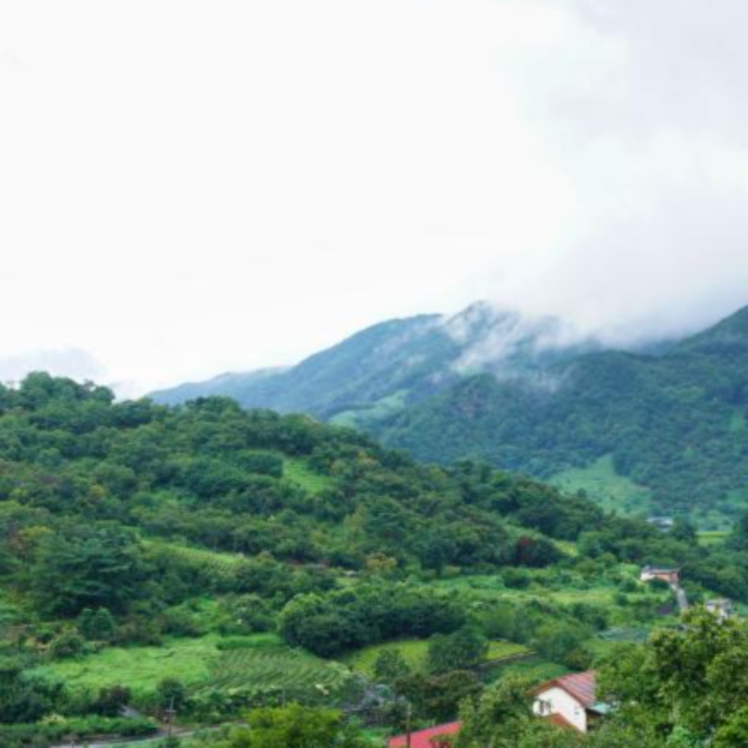 2024 단풍절정시기 지리산 단풍 절정 노고단 예약 필수 5