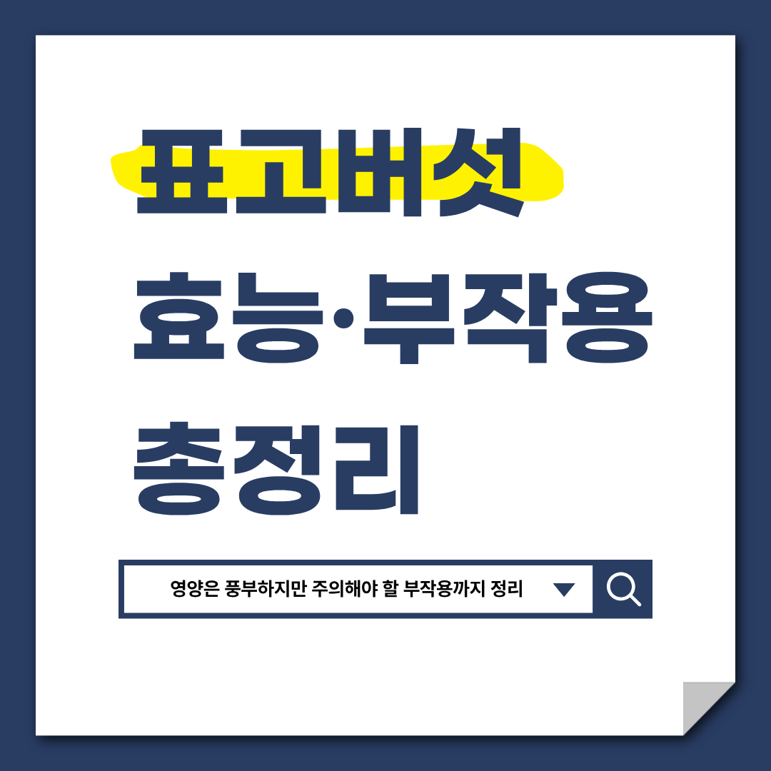 표고버섯 효능 부작용