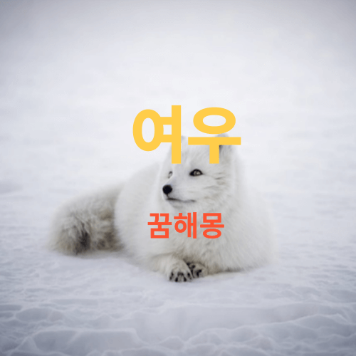 여우 꿈해몽 최종모음(꿈에 여우가 우는꿈은 정말 나쁜 흉몽입니다)