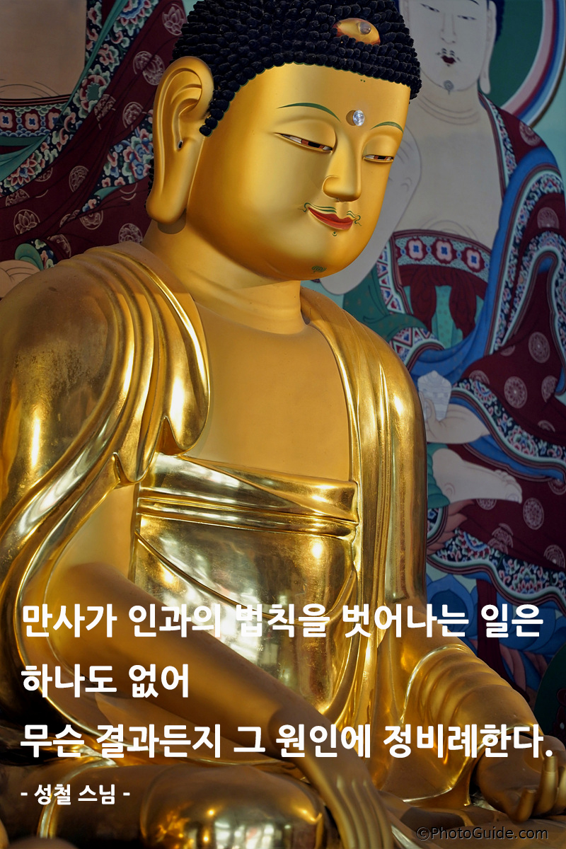 성철스님-명언-부처상