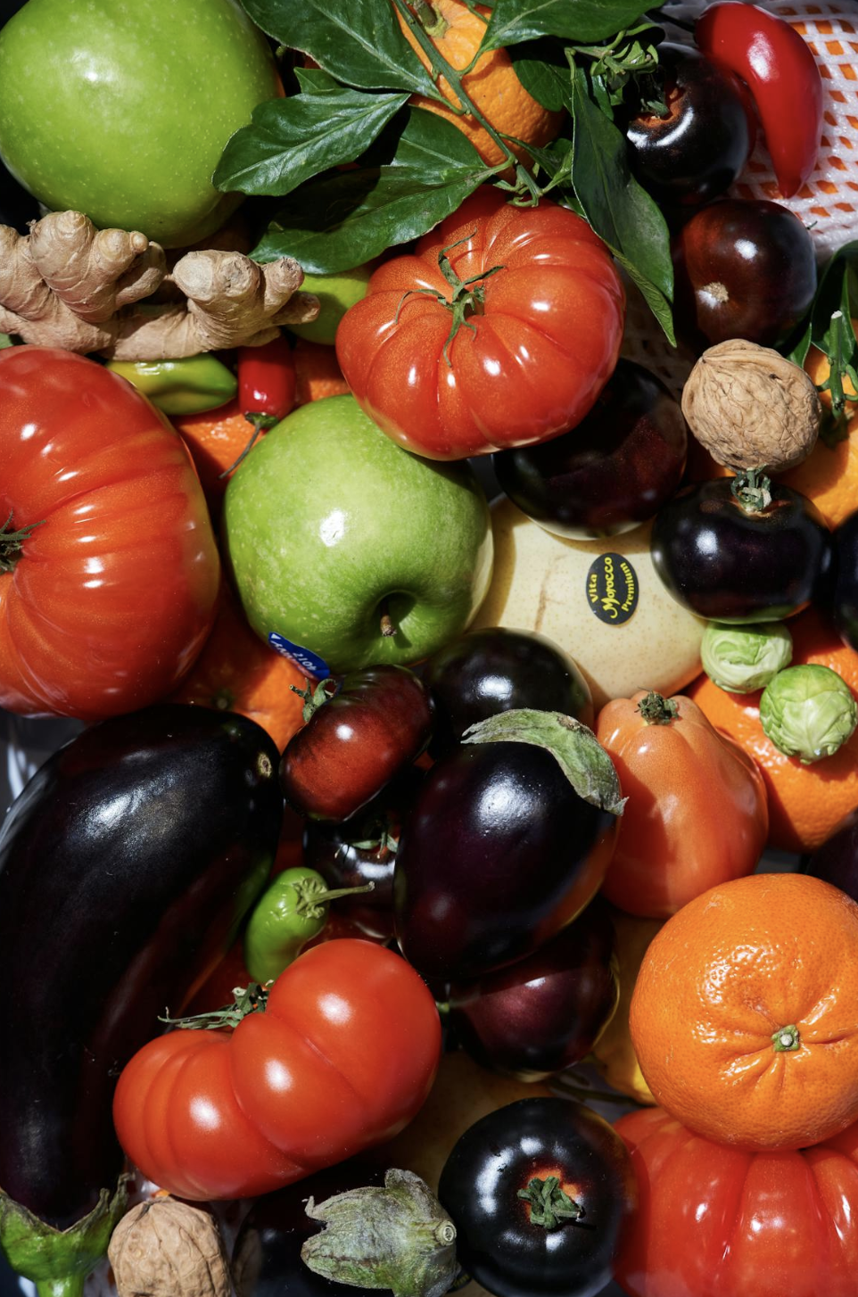 일본식 저속노화 비결 탐구 (정신건강, 발효음식, 규칙생활)