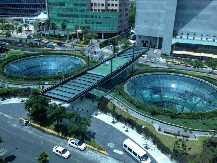 자연이 돌아오는 도시 &ndash; 바이오필릭 시티와 미래 생태 도시의 조건