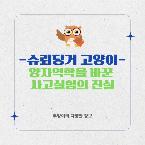 슈뢰딩거의 고양이란? 양자역학을 바꾼 사고실험의 진실