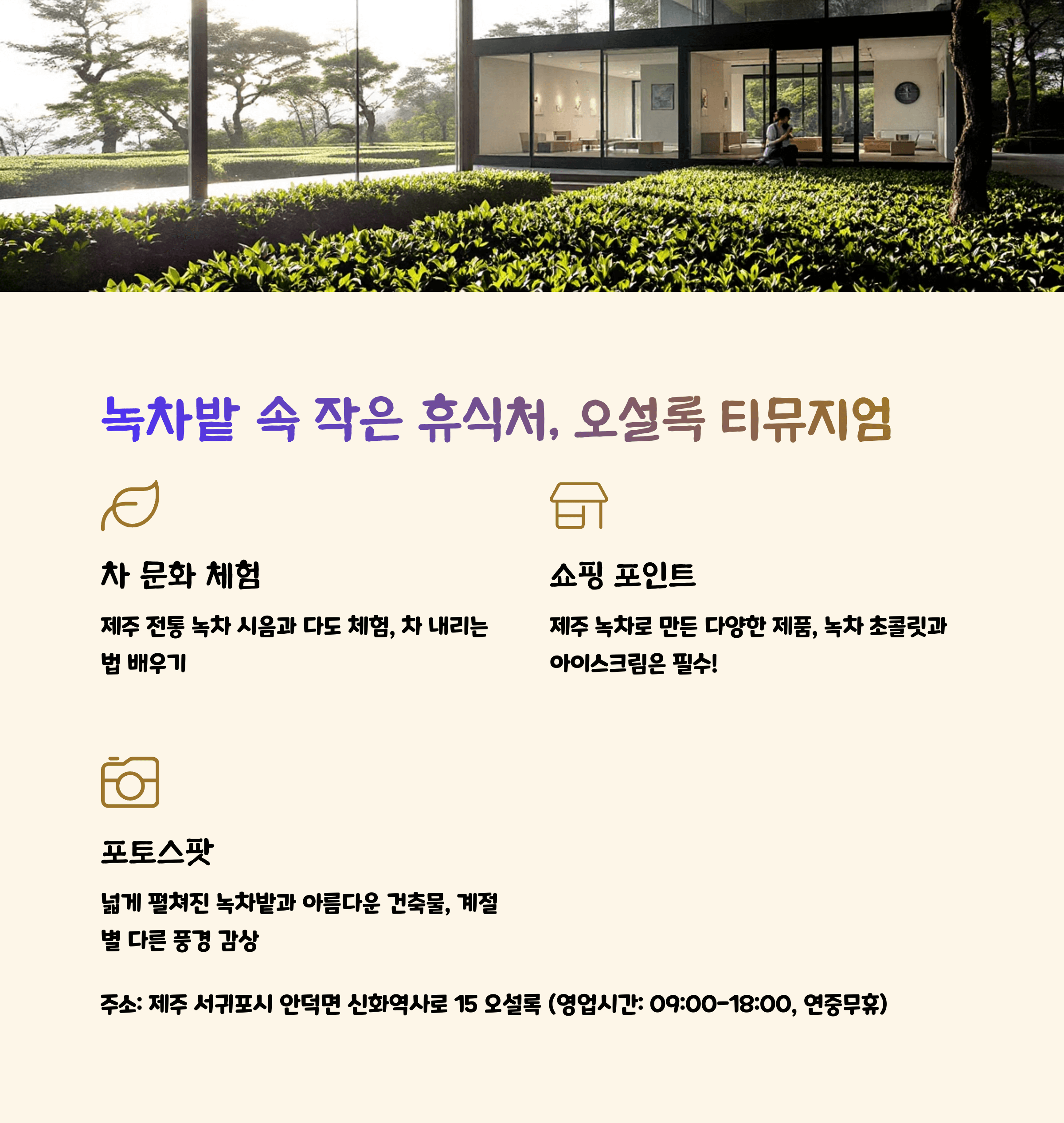 제주 오설록 티뮤지엄