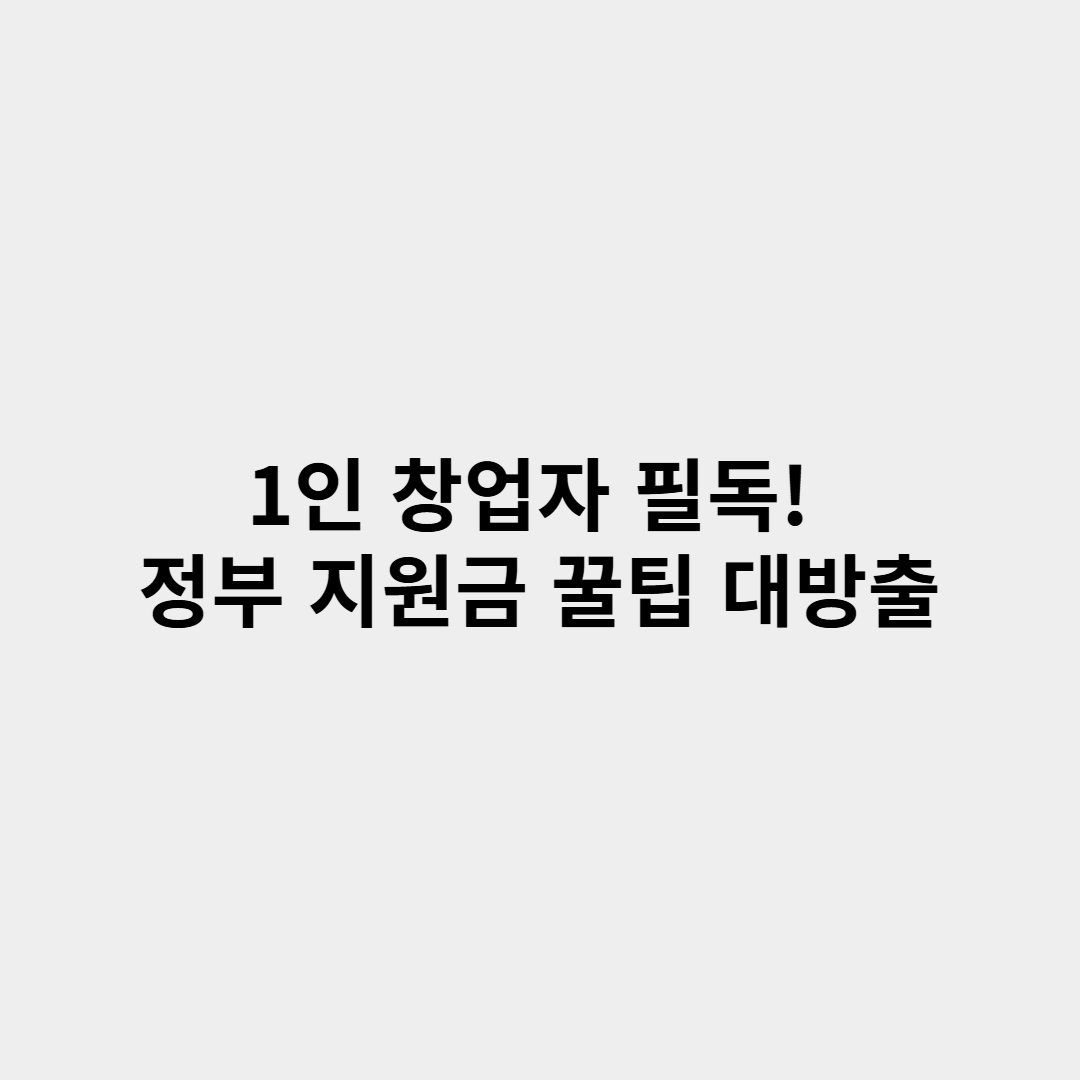 1인 창업자 필독! 정부 지원금 꿀팁 대방출