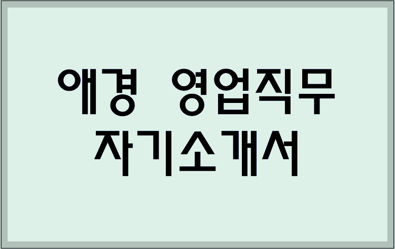 애경 영업직무 자기소개서