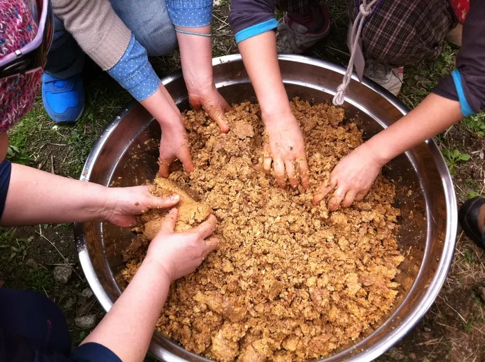 장 담그는 과정에서 항아리에서 소금물에 불은 메주덩어리 꺼내는 모습.