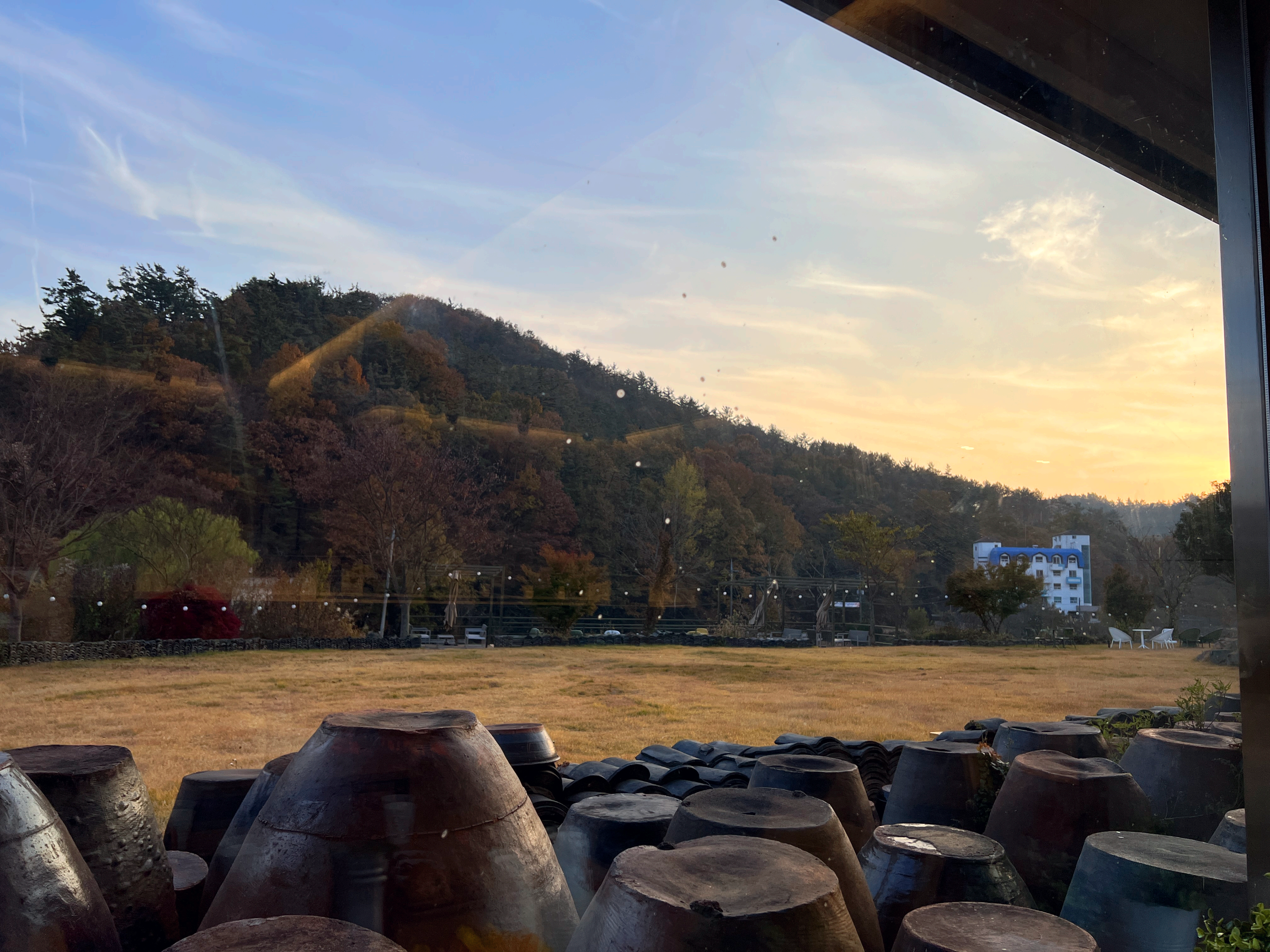 <드들돈가스>의 잔디밭풍경