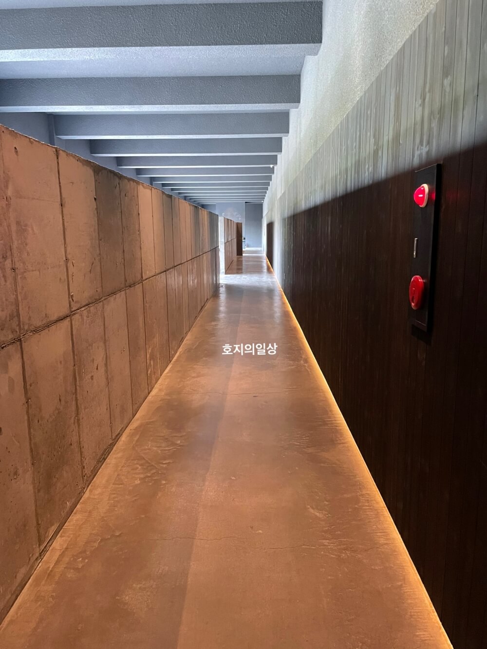 무로이 카페 제주 - 매장 주문 후 좌석으로 가는길