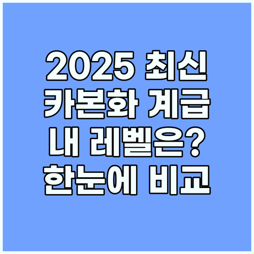 2025년 카본 러닝화 계급도: 당신..