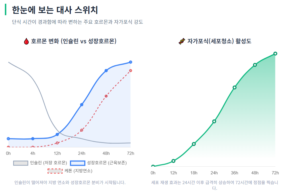 단식 시간 경과에 따라 변하는 호르몬