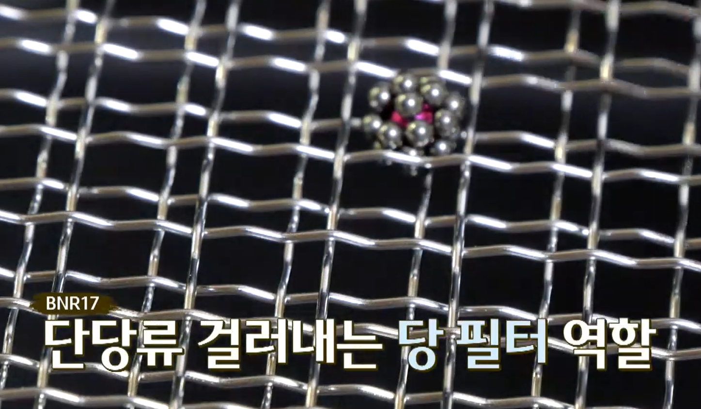 BNR17유산균 효능