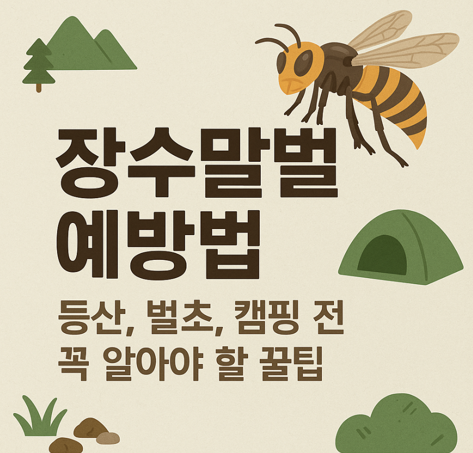 장수말벌 예방법, 등산, 벌초, 캠핑 전 꼭 알아야 할 꿀팁