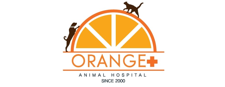 서울 성동구 동물병원