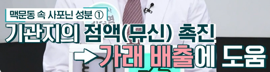 맥문동 효능