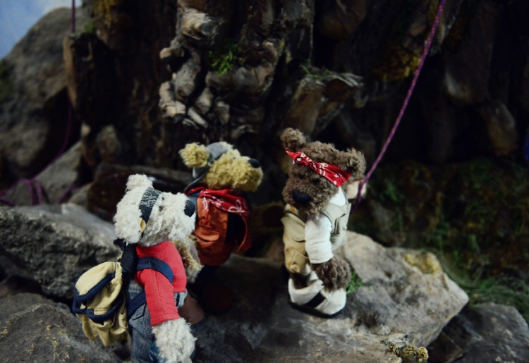 속초 테디베어팜